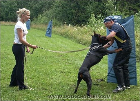 Summer training camp in Estonia 2007